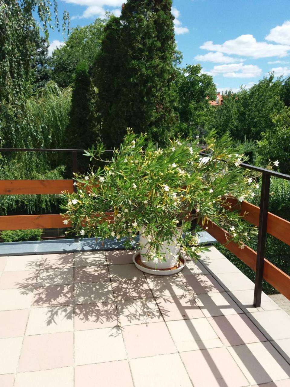 Tinka Ház Siófok Exterior foto